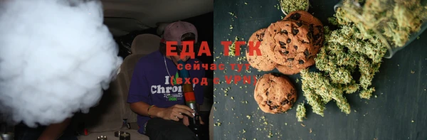 дживик Гусь-Хрустальный