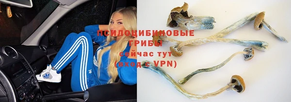 дживик Гусь-Хрустальный