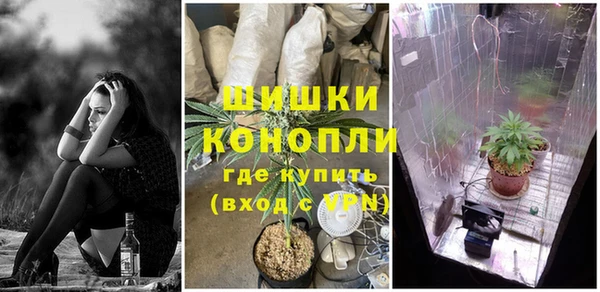 экстази Гусев