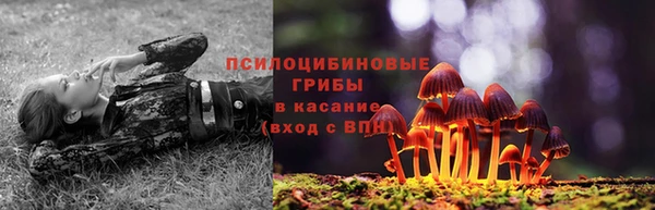 экстази Гусев